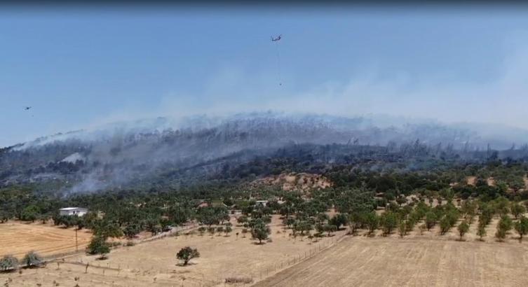 İzmir'de orman yangını (2)