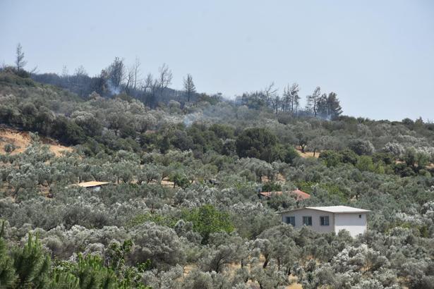 İzmir'de orman yangını; 4 gözaltı (3)