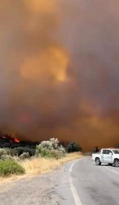 İzmir'de orman yangını/Ek fotoğraflar