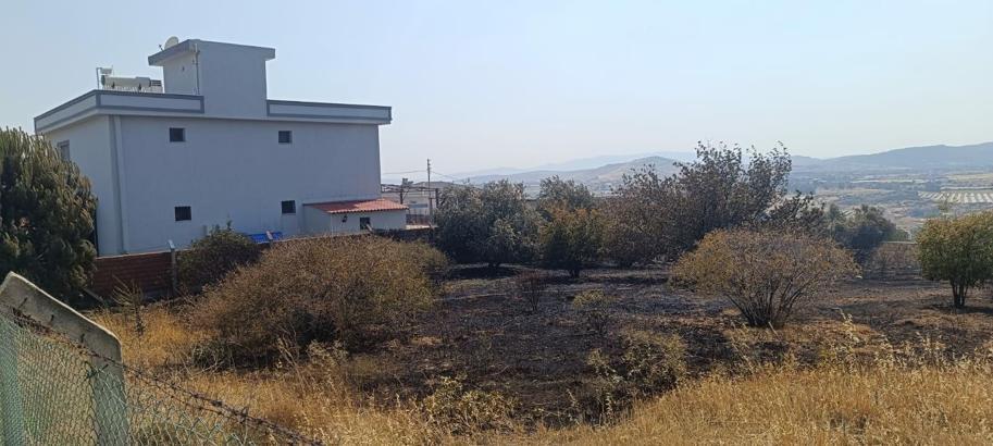 İzmir'de orman yangını; 4 gözaltı (4)