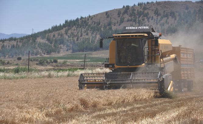 Gaziantep’te, arpa ve buğday hasadı sürüyor