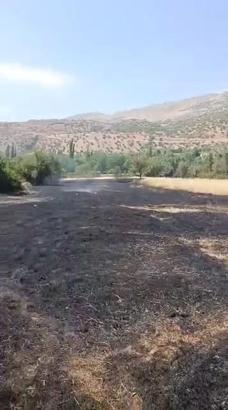 Siirt’te çay için yakılan ateşle çıkan yangın, fıstık bahçesinde 100 ağaca zarar verdi