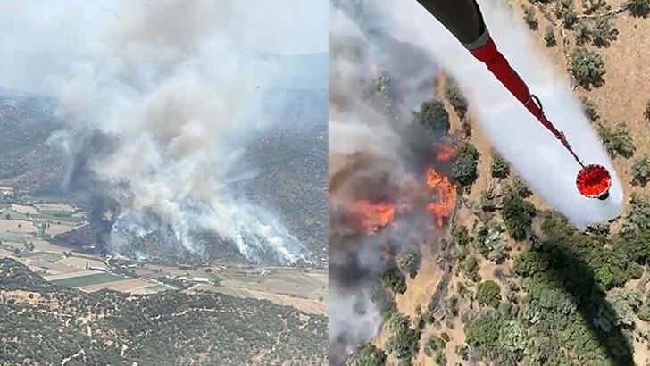 Aydın’da tarım arazisindeki yangın kontrol altında