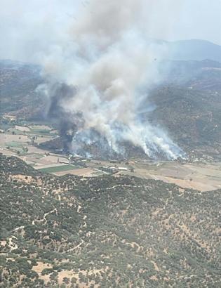 Aydın’da tarım arazisinde yangın
