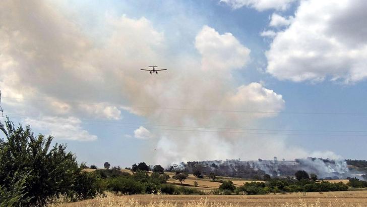 Edirne'de orman yangını