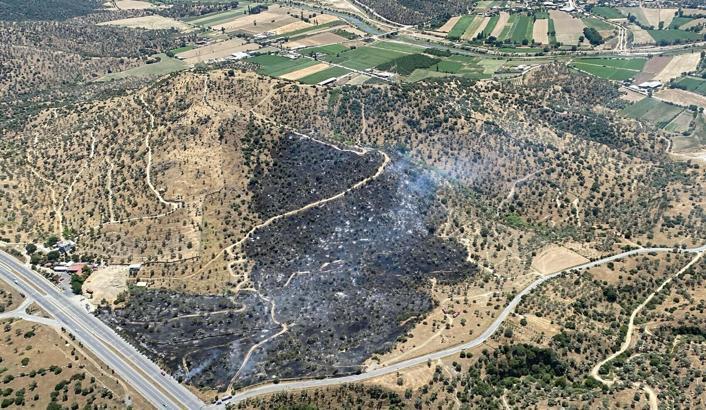 Aydın'daki yangın kontrol altına alındı; 4 hektar zeytinlik zarar gördü