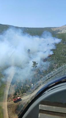 Manisa'da orman yangını