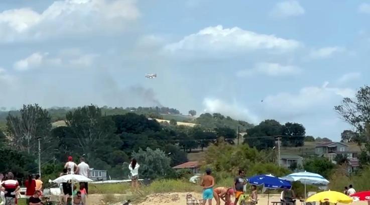 Edirne'de orman yangını (2)