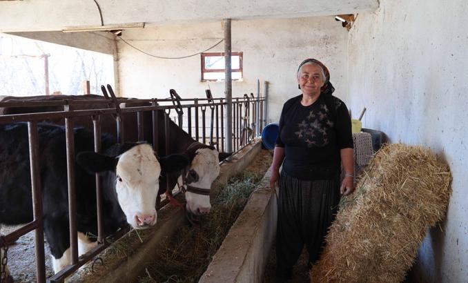 Büyükşehir'den tarım ve hayvancılığa büyük destek