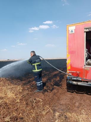 Mardin’de 400 dönüm buğday ekili alan yandı