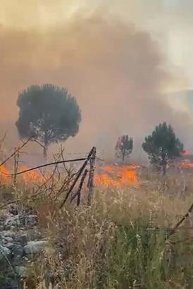 Balıkesir'de örtü yangını