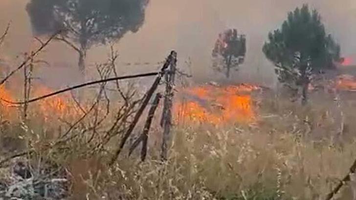 Balıkesir'deki örtü yangını kontrol altında