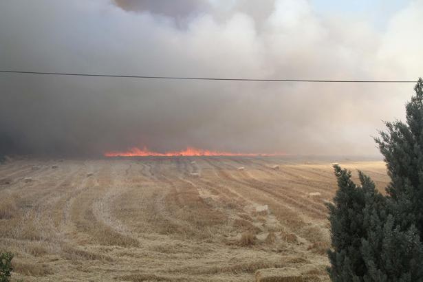 Manisa'da tarım arazisinde çıkan yangın, 2 saatte kontrol altına alındı