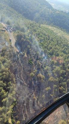 Manisa'daki yangınlarda 2 hektar orman zarar gördü