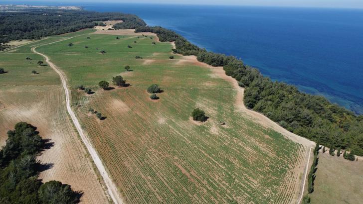 Askerin yazdığı destan, Çanakkale Savaşları’nın şiddetini yansıtıyor