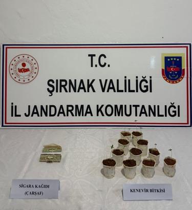 Şırnak’ta 1 milyon 550 TL değerinde kaçak malzeme ele geçirildi; 13 gözaltı