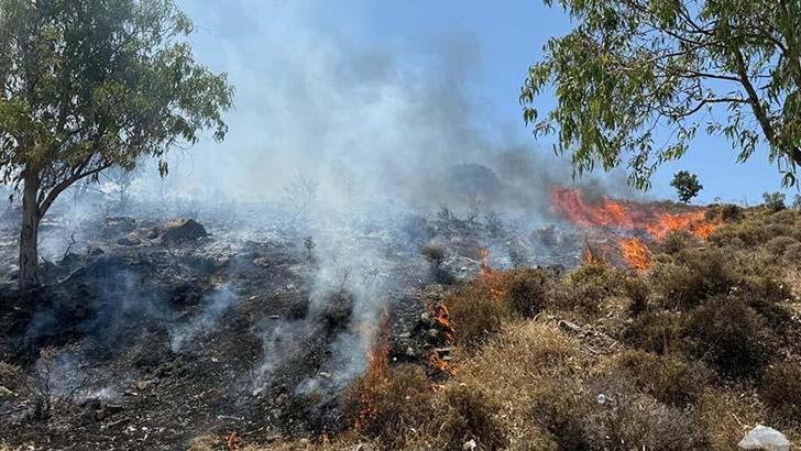 Muğla'da maki yangını