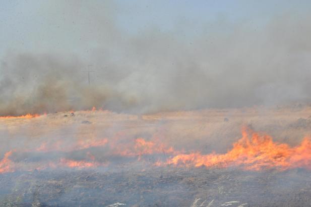Gaziantep'te anız yangını 4 saatte söndürüldü