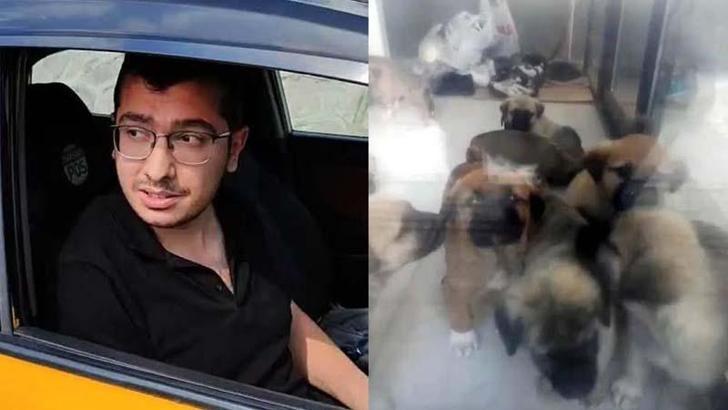 Sahiplendiği köpekleri öldürdüğü iddia edilen doktor hakkındaki iddianame kabul edildi