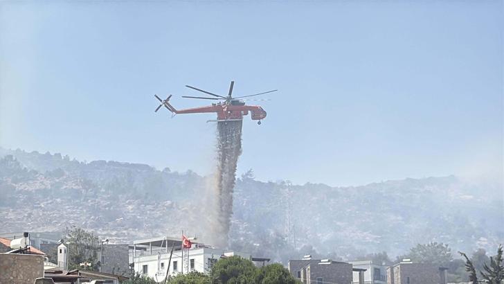 Muğla'da maki yangını (2)