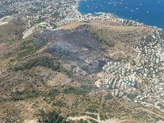 Muğla'da maki yangını (3)