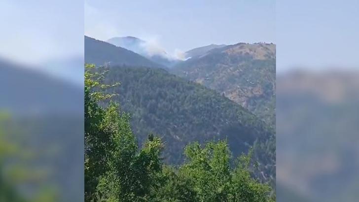 Adana'daki orman yangını söndürüldü