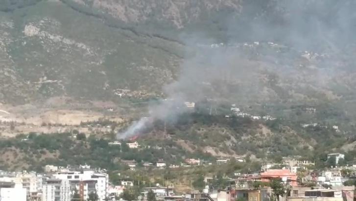 Hatay'da orman yangını