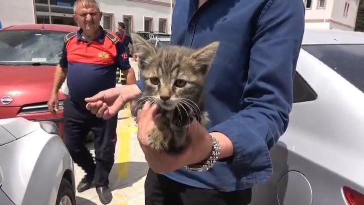 Otomobilin motoruna sıkışan yavru kedi kurtarıldı