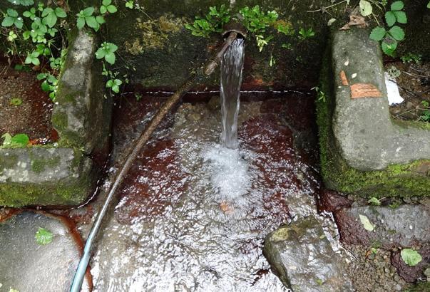 Acı tat bırakan 'şifalı su' için tüketim uyarısı