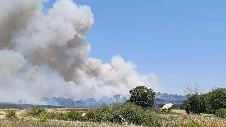 Çanakkale’de tarım arazisindeki yangın kontrol altında