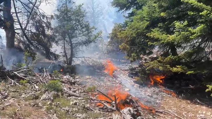 Mersin'de çıkan orman yangını kontrol altında