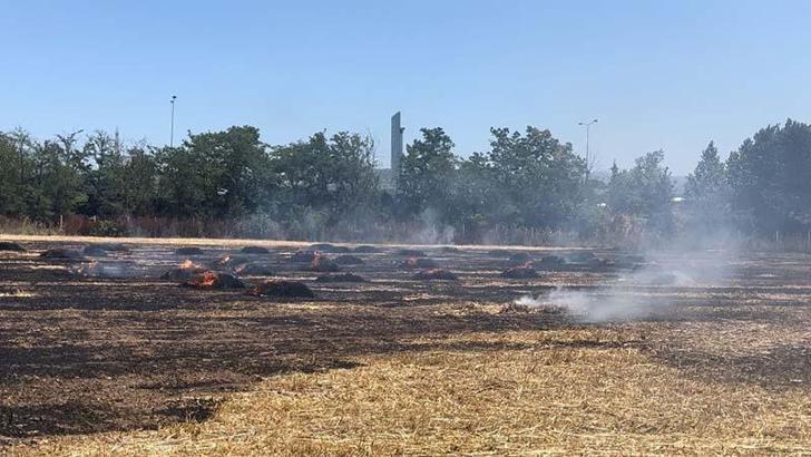 Bursa'da anız yangını