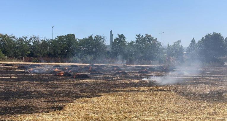 Bursa'da anız yangını
