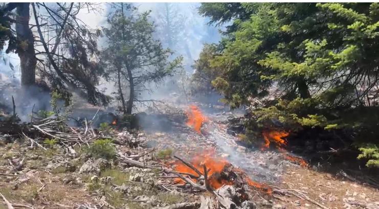 Mersin'de orman yangını