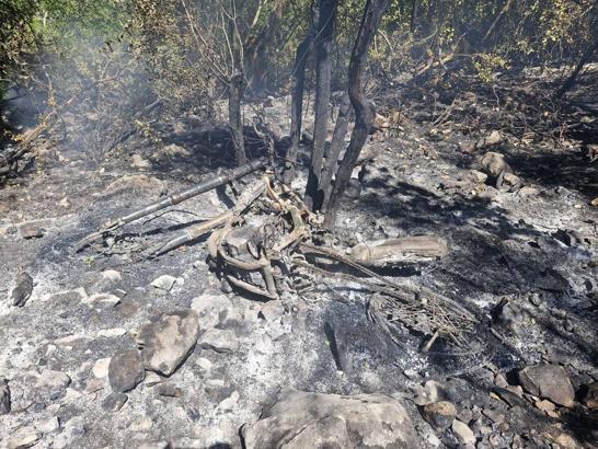 Antalya'da orman yangını (3)