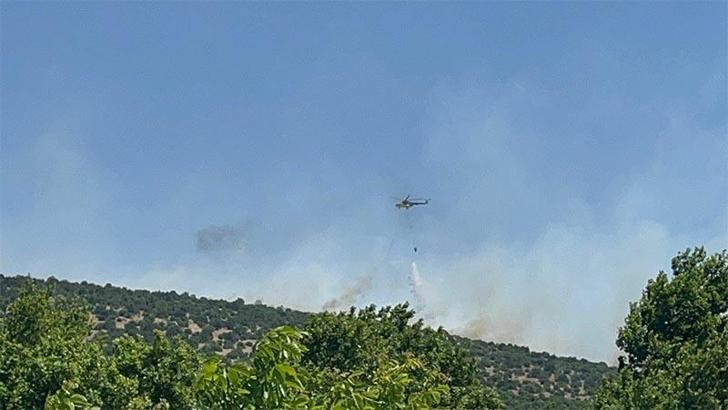 Balıkesir'de orman yangını