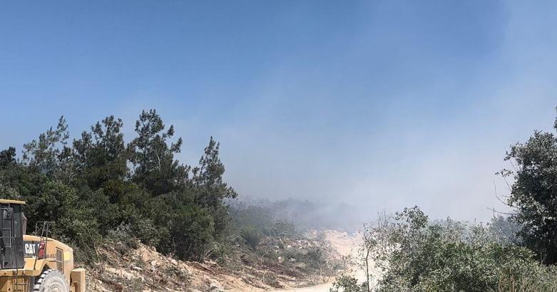 Bursa'da orman yangını (2)