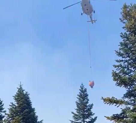 Mersin'de orman yangını (2)