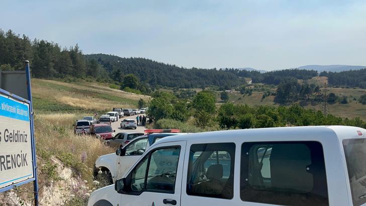 Bursa'da orman yangını/Ek fotoğraflar