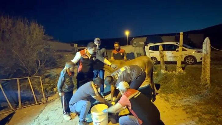 Bakan Yumaklı, 8 yaşındaki Eyüphan'ın, tayı Nazlı'nın tedavi çağrısına karşılık verdi