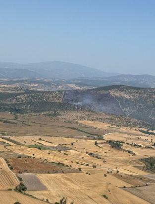 Balıkesir'de orman yangını (3)