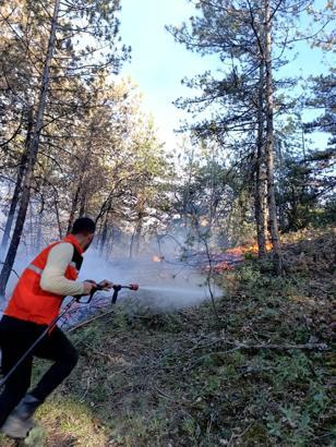 Mudurnu'daki orman yangını 1 saatte söndürüldü