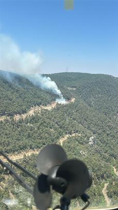 Manisa'daki orman yangını 4 saatte söndürüldü