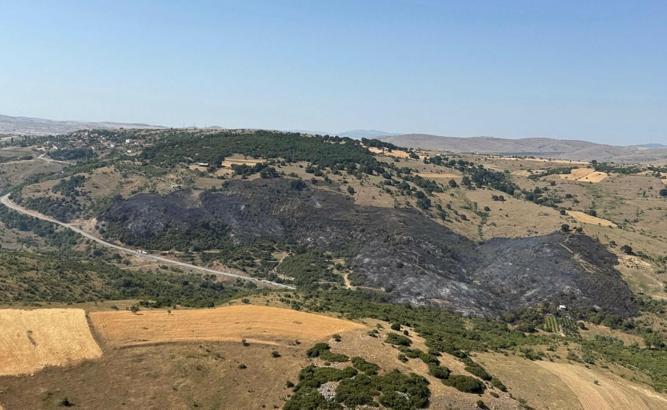 Balıkesir'de orman yangını (4)