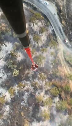 Aydın’da çıkan orman yangınında 2 hektarlık alan zarar gördü