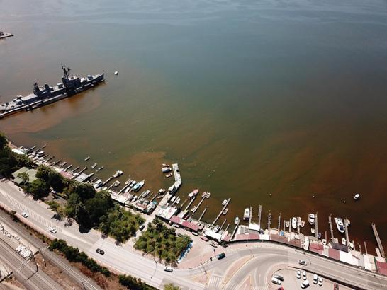 İzmit Körfezi'nde denizin rengi kahverengiye döndü
