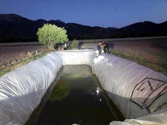 Sulama havuzuna düşen köpek kurtarıldı