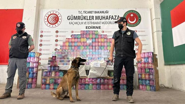 Kapıkule’de 29,5 kilo esrar ele geçirildi