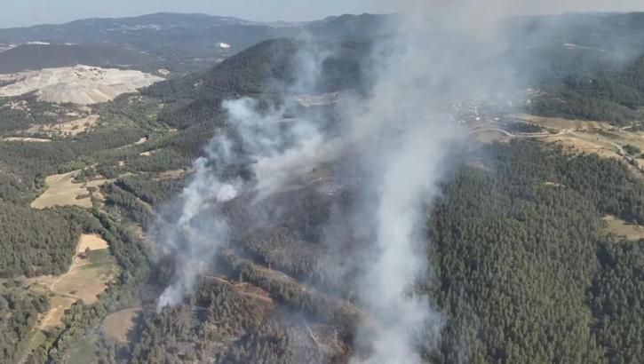 Orman yangını nedeniyle tahliye edilen mahallede 3 ev yandı / Ek fotoğraflar