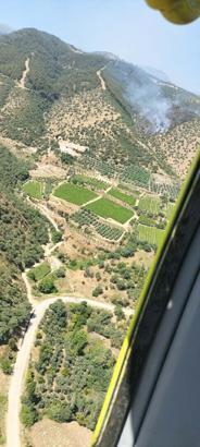 Manisa'da makilik yangını, ormana sıçradı